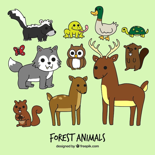 Cartoon forest animals set