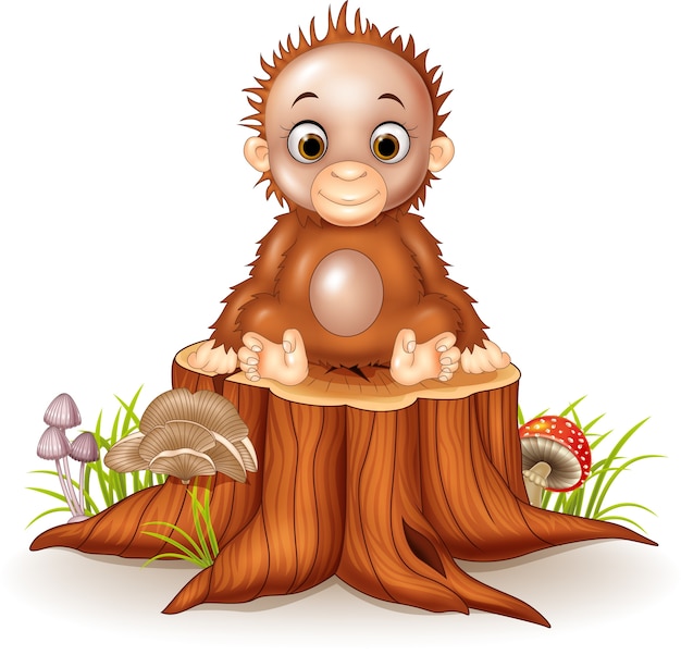 Cartoon funny baby orangutan on tree stump