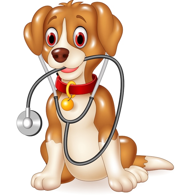 Cartoon funny dog sitting with stethoscope