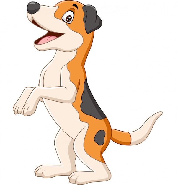 Cartoon funny dog standing on white