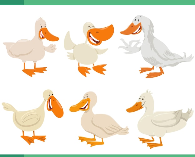 Cartoon funny ducks farm animal characters set