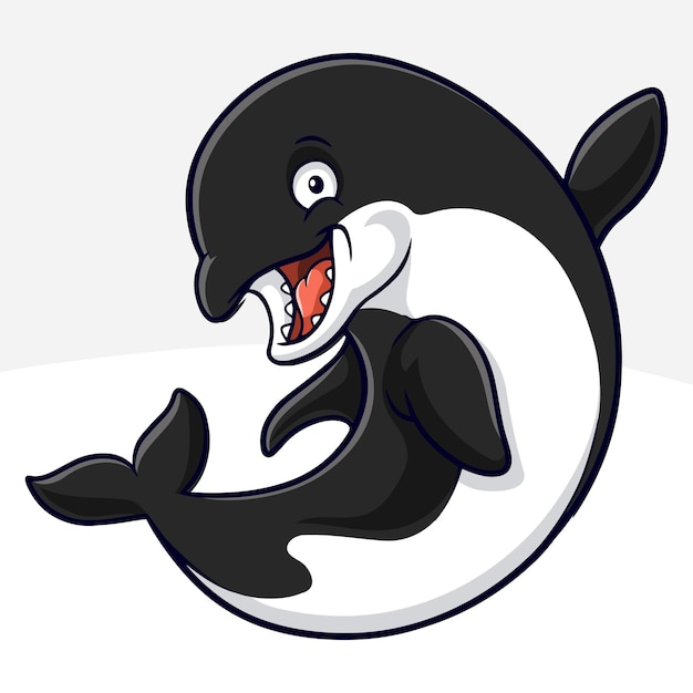 Cartoon funny killer whale isolated on white background