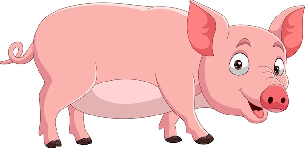 Cartoon funny pig on white background