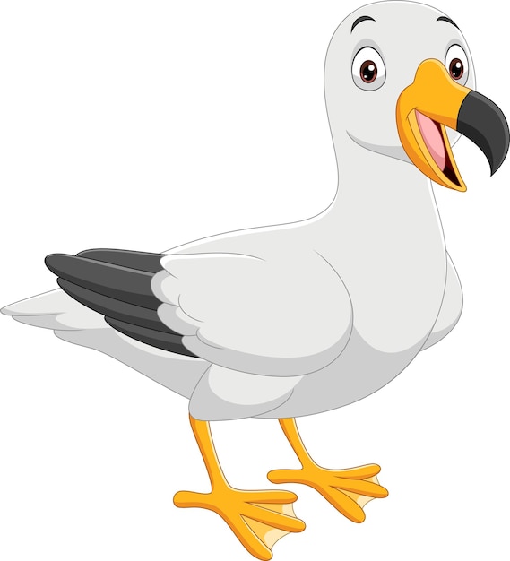 Cartoon funny seagull on white background