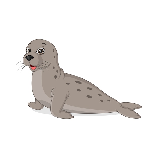 Cartoon funny seal on white