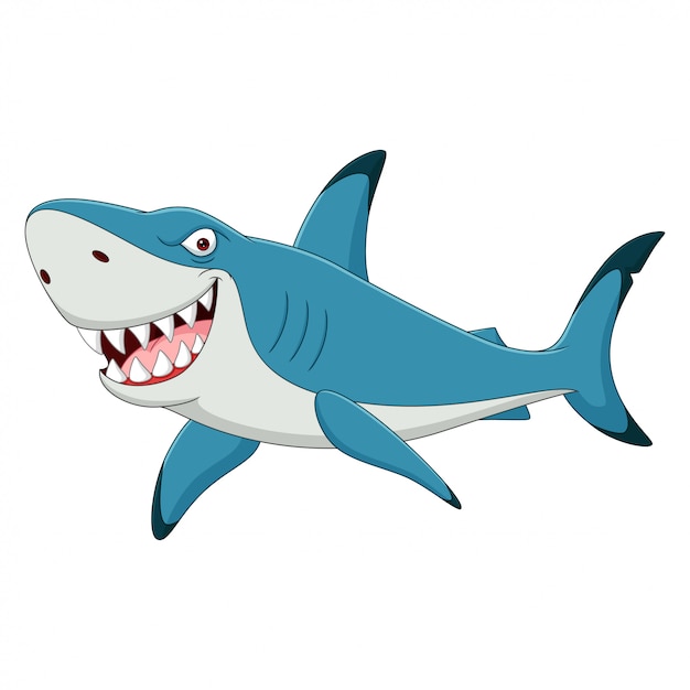 Cartoon funny shark isolated on white background