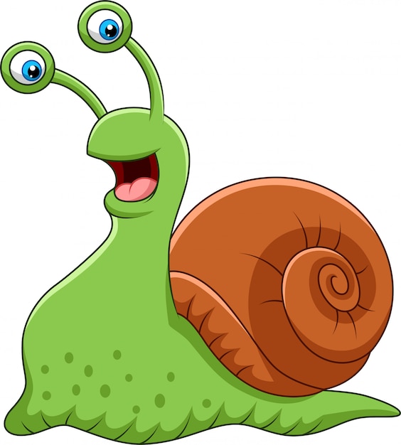 Cartoon funny snail isolated on white background