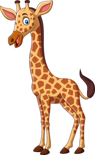 Cartoon giraffe isolated