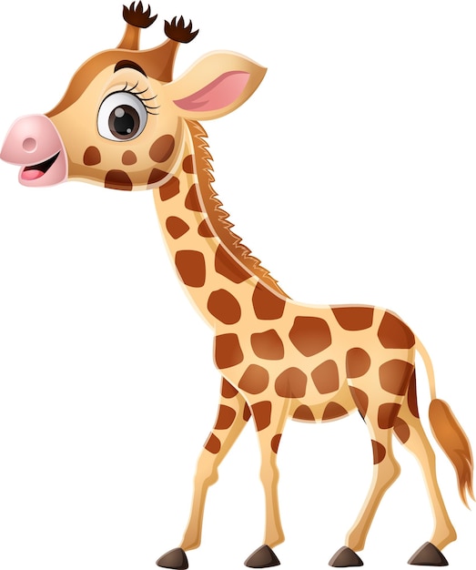 Cartoon giraffe on white background