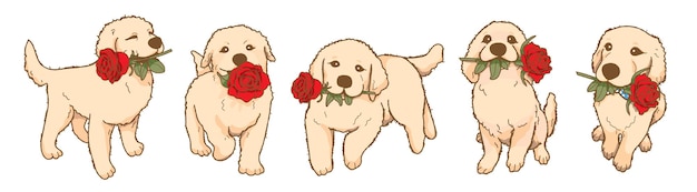 Cartoon golden retriever puppy holding red rose flower in mouth Lovely dog in love on valentines day