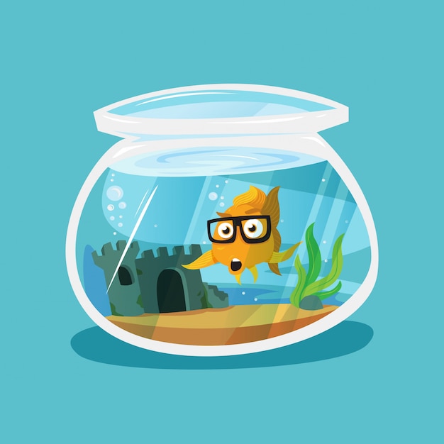 Cartoon goldfish in round tank