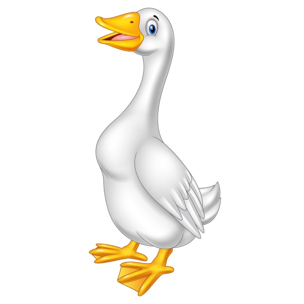 Cartoon goose isolated on white background