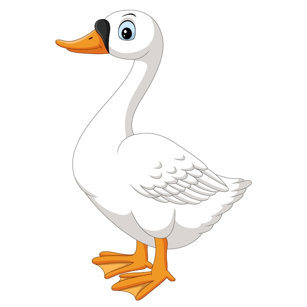 Cartoon goose on white background