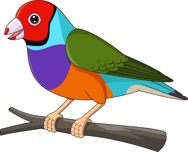 Cartoon Gouldian Finch Bird on Tree Branch