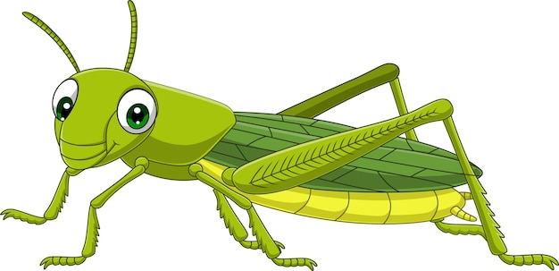 Cartoon grasshopper on white background