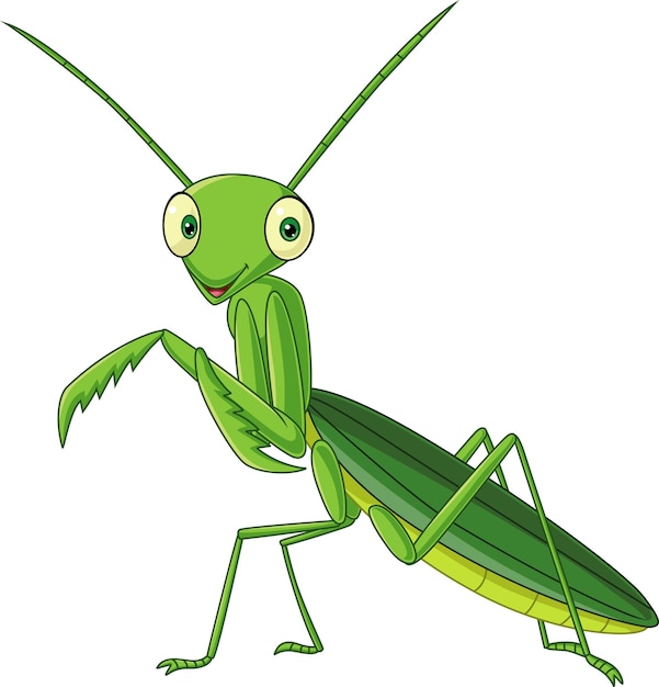 Cartoon green mantis on white background