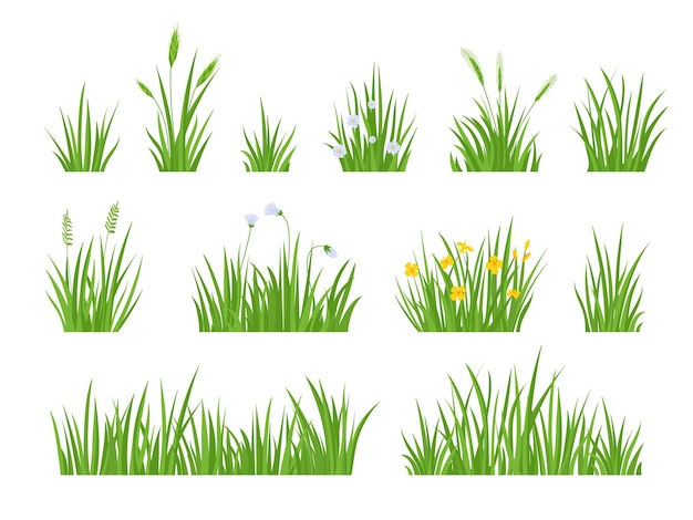 Cartoon green meadow grass with flower, herbs and spike ears. Spring garden lawn horizontal borders. Field fresh natural grass vector set