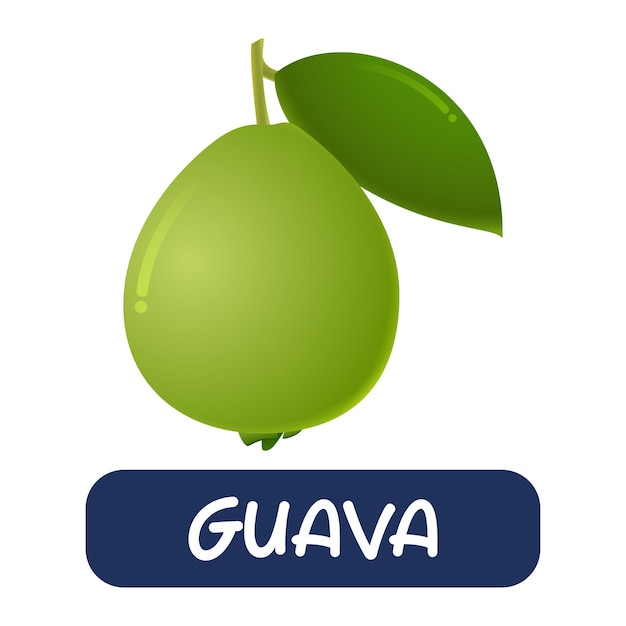 Cartoon guava fruit vector isolated on white background