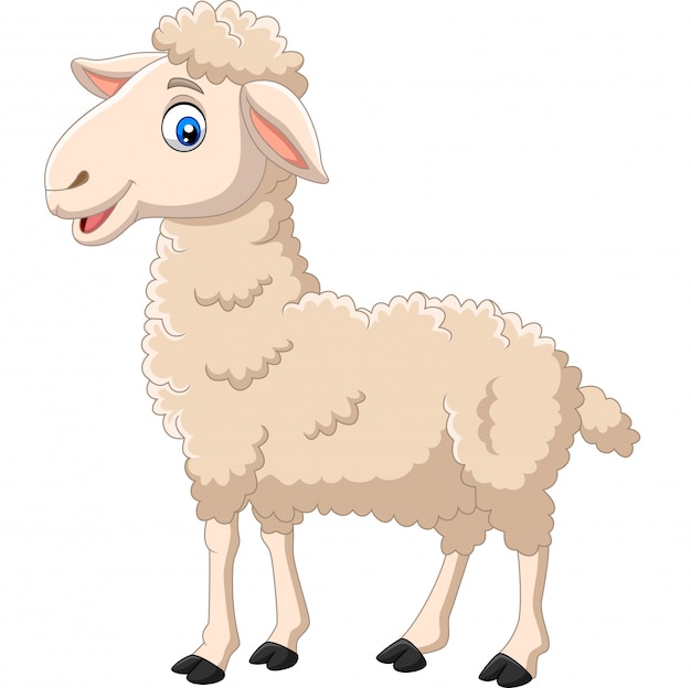 Cartoon happy lamb isolated on white background