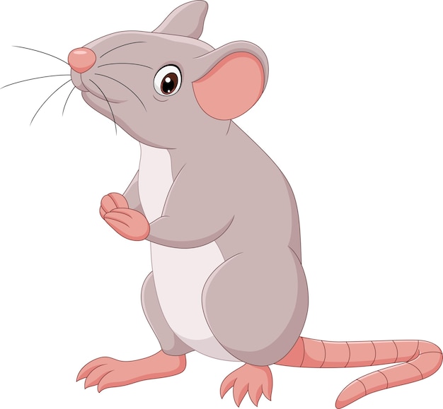 Cartoon happy mouse on white background