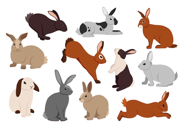 Cartoon hare Cute bunny in different poses Fluffy farm rabbits jumping and running Funny pets sitting or lying Activities of adorable domestic animals Vector furry creatures set