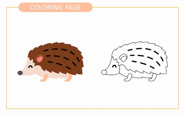 Vector cartoon of hedgehog kids coloring book or page