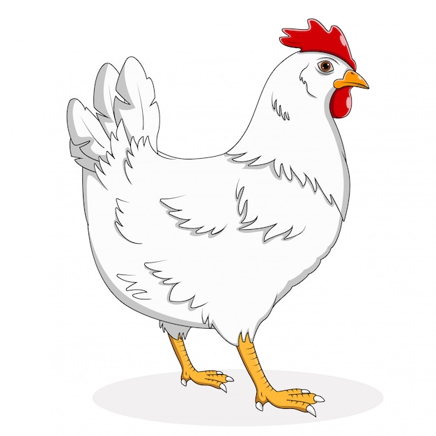 Cartoon hen on white background