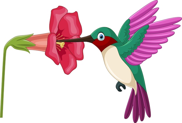 Cartoon hummingbird sipping nectar from flowers