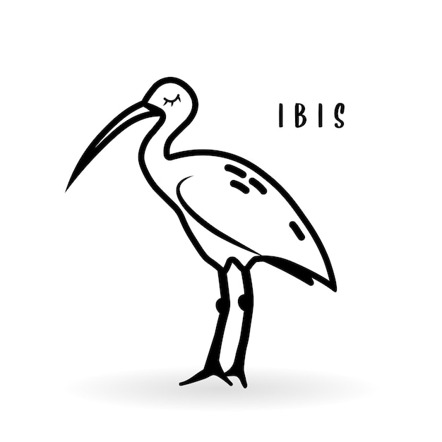 Cartoon ibis bird animal isolated on white Cute character icon vector zoo wildlife poster