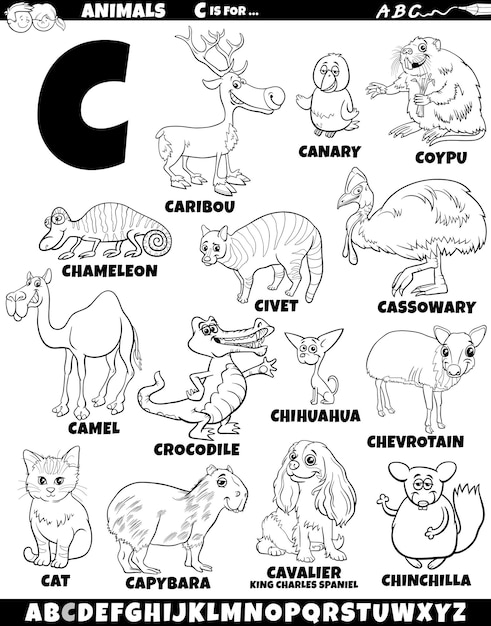 Cartoon illustration of animal characters set for letter C coloring page