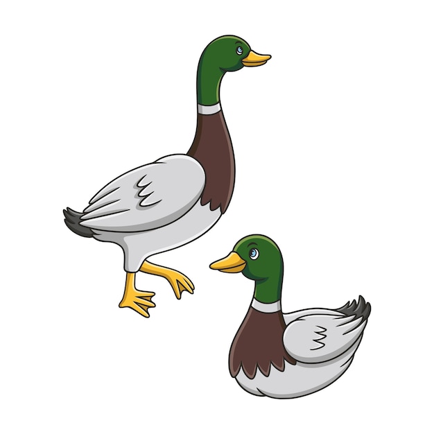 Cartoon illustration the duck is walking by the river and swimming in the river