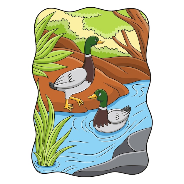 Cartoon illustration the duck is walking by the river and swimming in the river