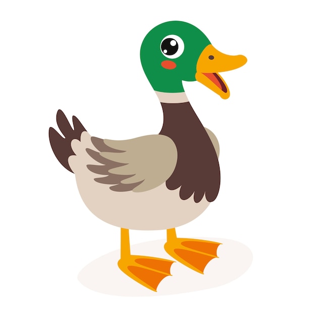 Cartoon Illustration Of A Duck