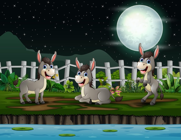 Cartoon illustration of happy donkeys playing at night