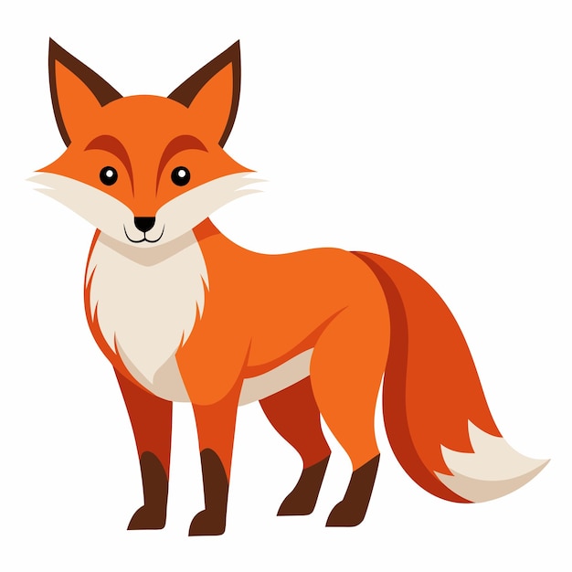 Vector cartoon illustration of a red fox standing with its tail behind it