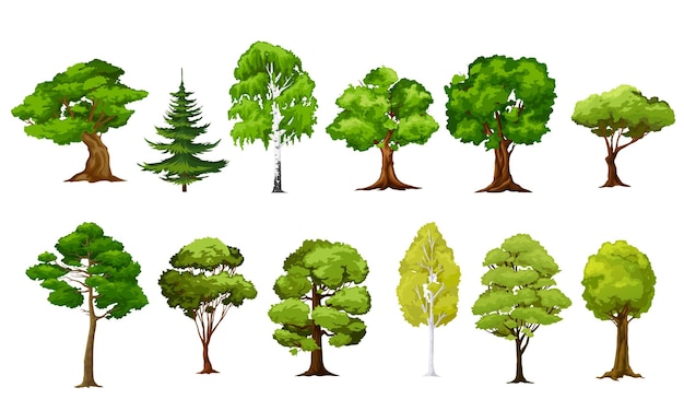 Cartoon isolated forest and garden vector trees