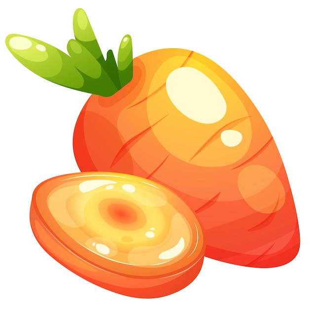 Cartoon juicy carrot with sliced round piece on transparent background Vegetable Collection