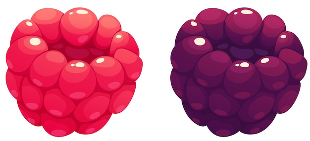 Cartoon juicy raspberries and blackberries on transparent background