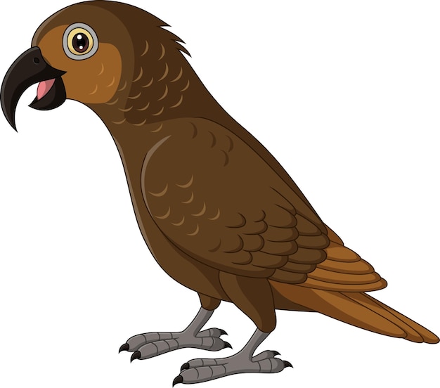 Cartoon Kaka Bush Parrot on White Background