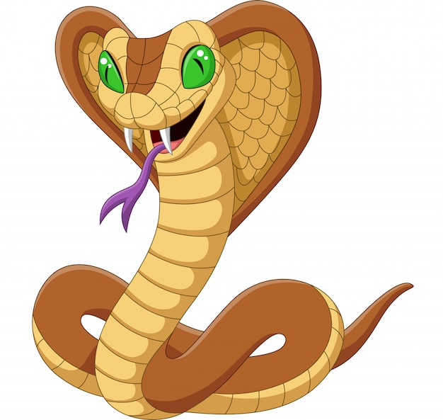 Cartoon king cobra snake isolated