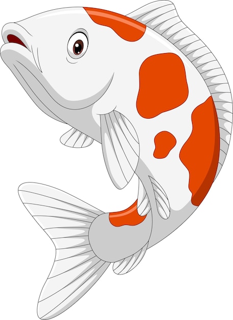 Cartoon Koi fish on white