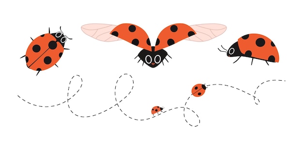 Cartoon ladybugs in different angles Dotted line flying insects