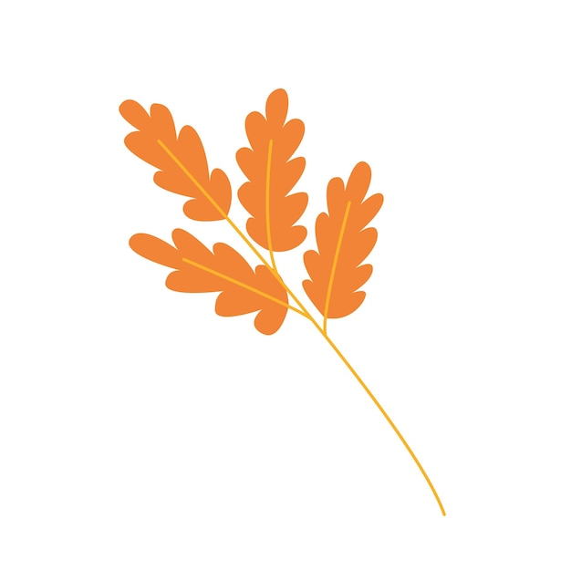 Cartoon oak tree leaf vector illustration