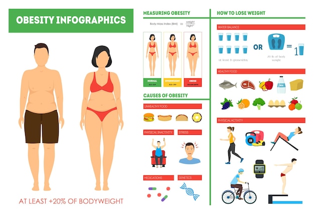 Cartoon Obesity Weight Loss Infographics Card Poster Vector