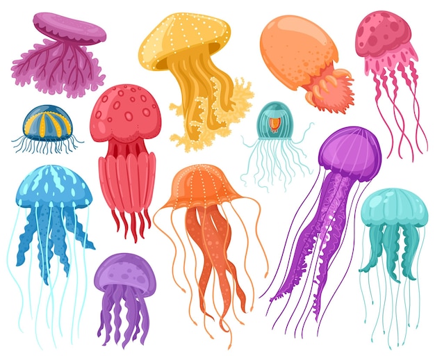 Cartoon ocean jellyfish. Marine underwater jellyfish, ocean sea transparent creatures illustration set