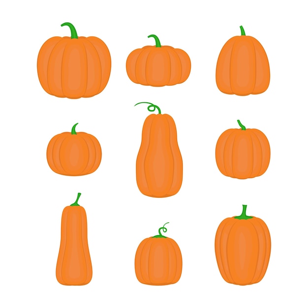 Cartoon orange pumpkins in different shapes Halloween elements set