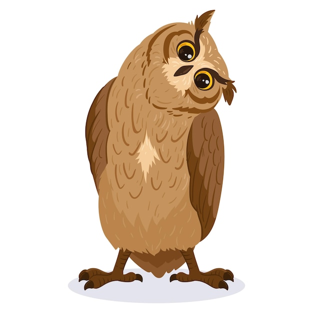 Cartoon owl bird Cute brown bird woods wildlife feathered owl forest wild predator bird flat vector illustration on white background