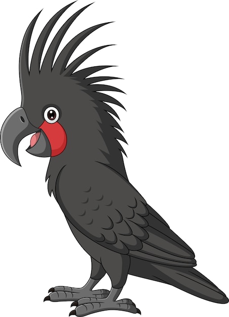 Cartoon Palm Cockatoo on White Background