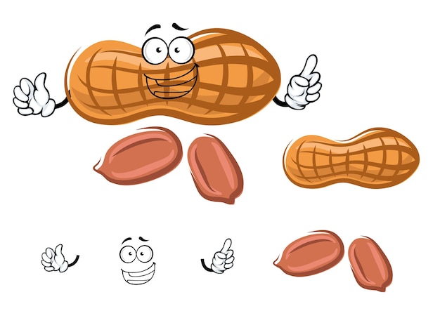 Cartoon peanut in shell with kernels