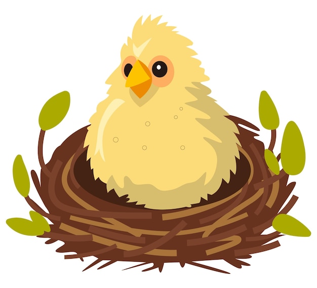 Vector a cartoon picture of a chicken in a nest